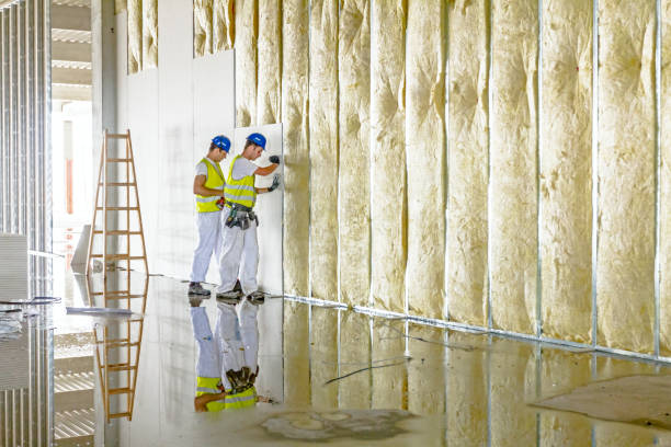 Best Geographic-Specific Insulation Services in Bren Arrow, OK